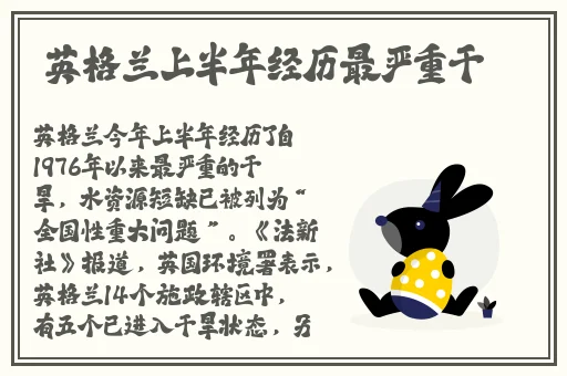 国外12小小
